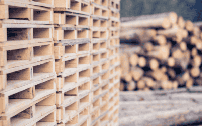 Herstellung von Holzpaletten und Umweltschutz