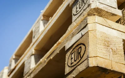 Sonderpaletten – der Schlüssel zur operativen Flexibilität